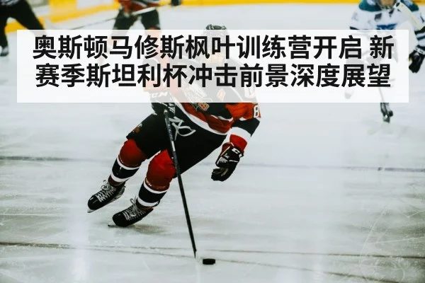 hockey player skating